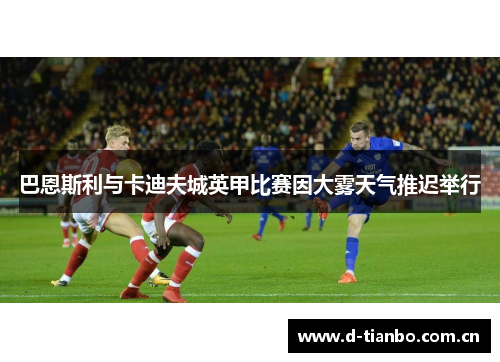 巴恩斯利与卡迪夫城英甲比赛因大雾天气推迟举行